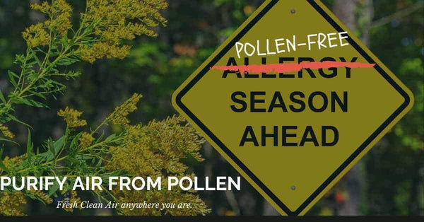 Air Purifiers for Allergies and air purifier for pollen allergies